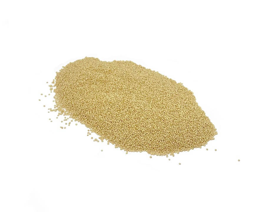40101_Organic-Amaranth-Grain Organic Amaranth Grain image