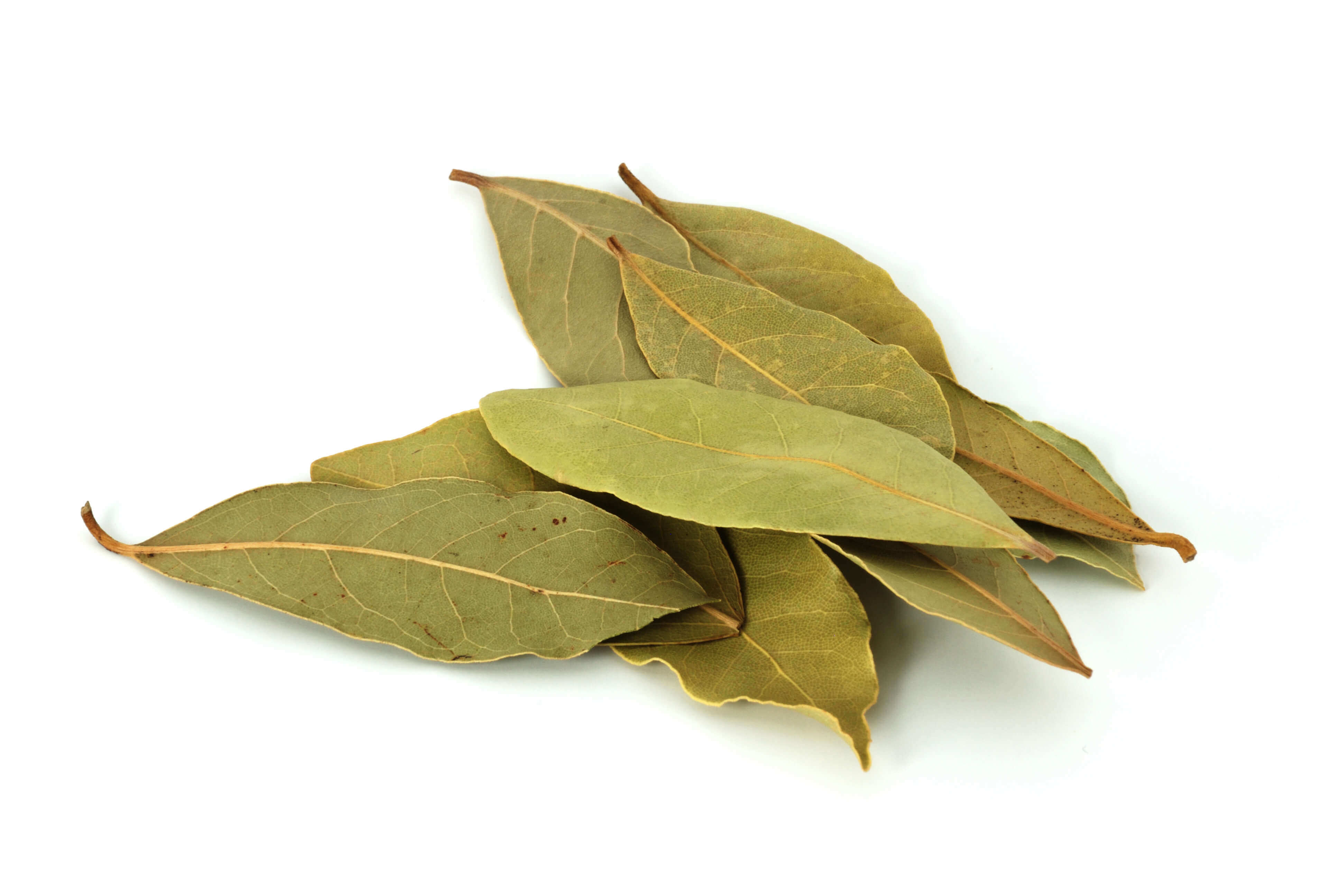 Bay Leaves Australia The Source Bulk Foods