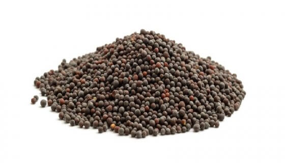 Brown Mustard Seeds image