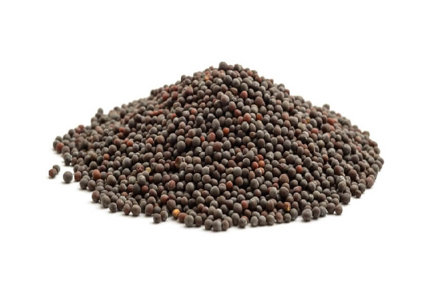 80230 mustard seeds Brown Mustard Seeds image