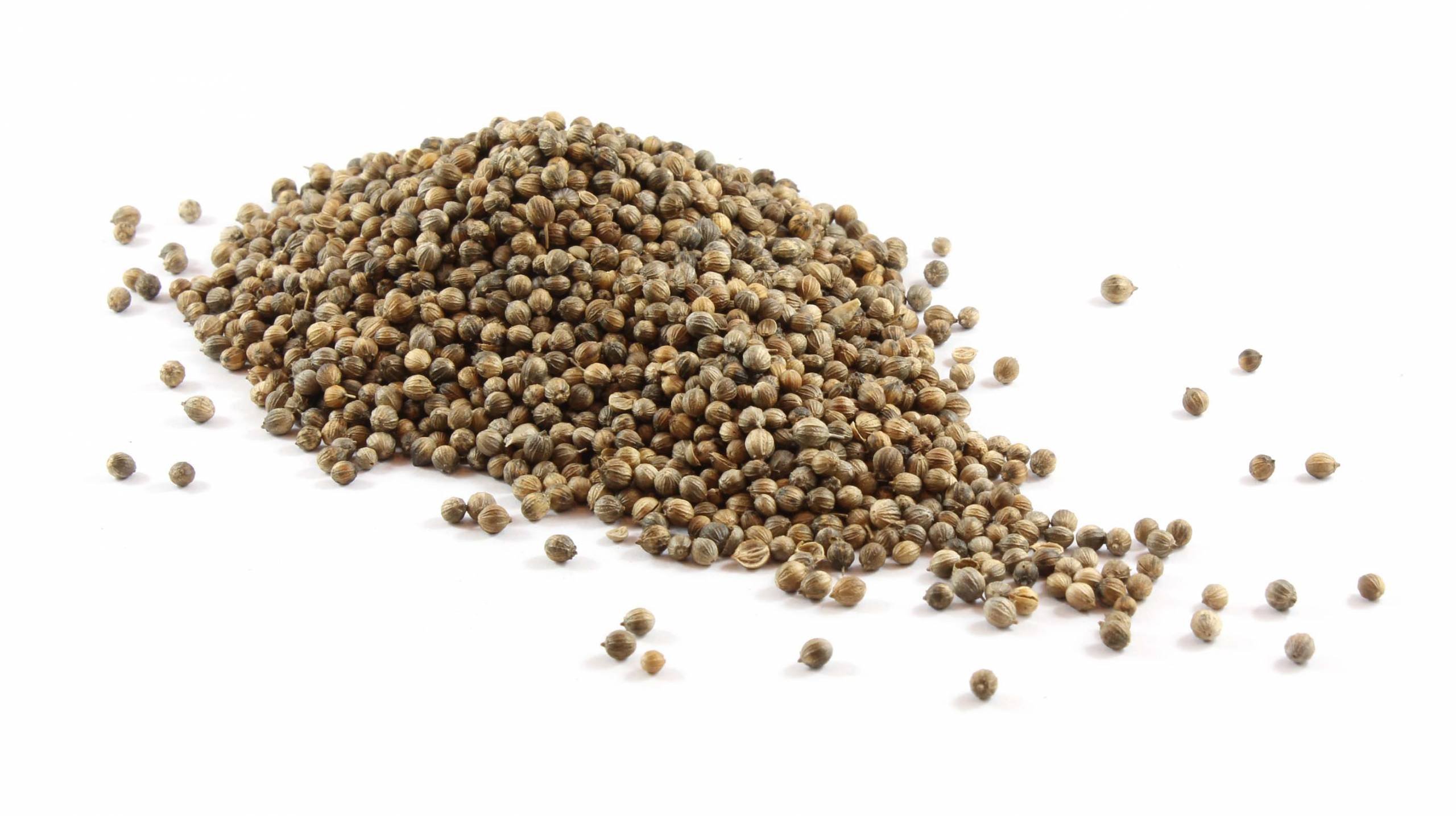 Coriander Seed_Edited Coriander Seed image