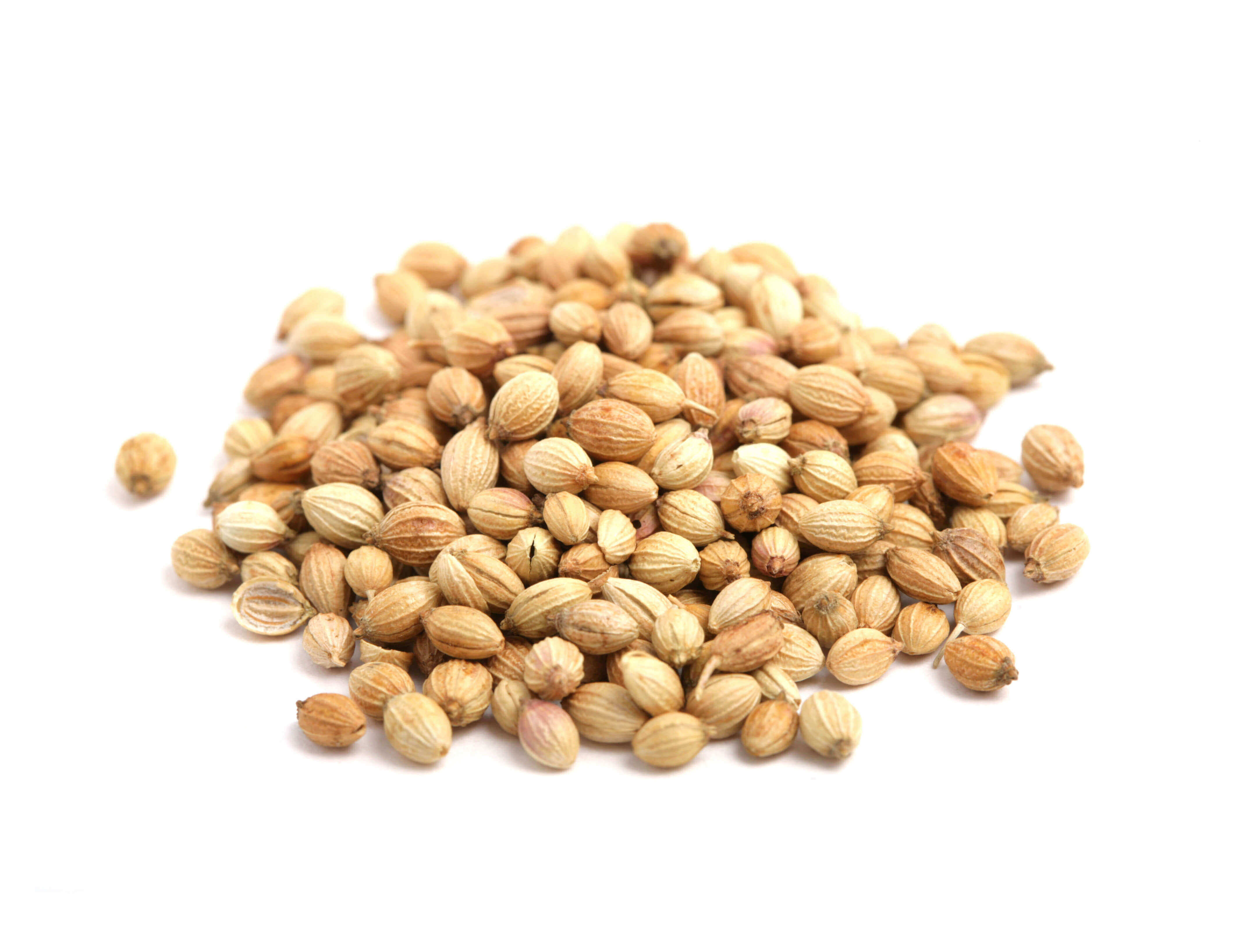 Whole Coriander | Australia | The Source Bulk Foods