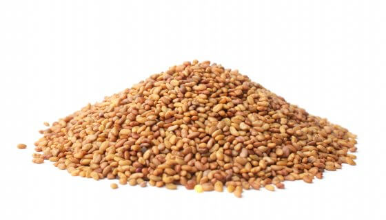 Australian Alfalfa Seeds image