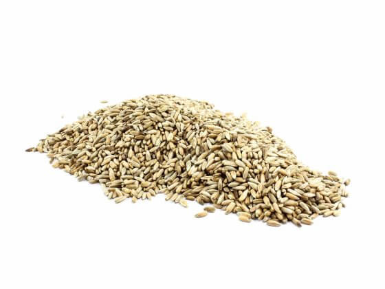 Organic Rye Grain image