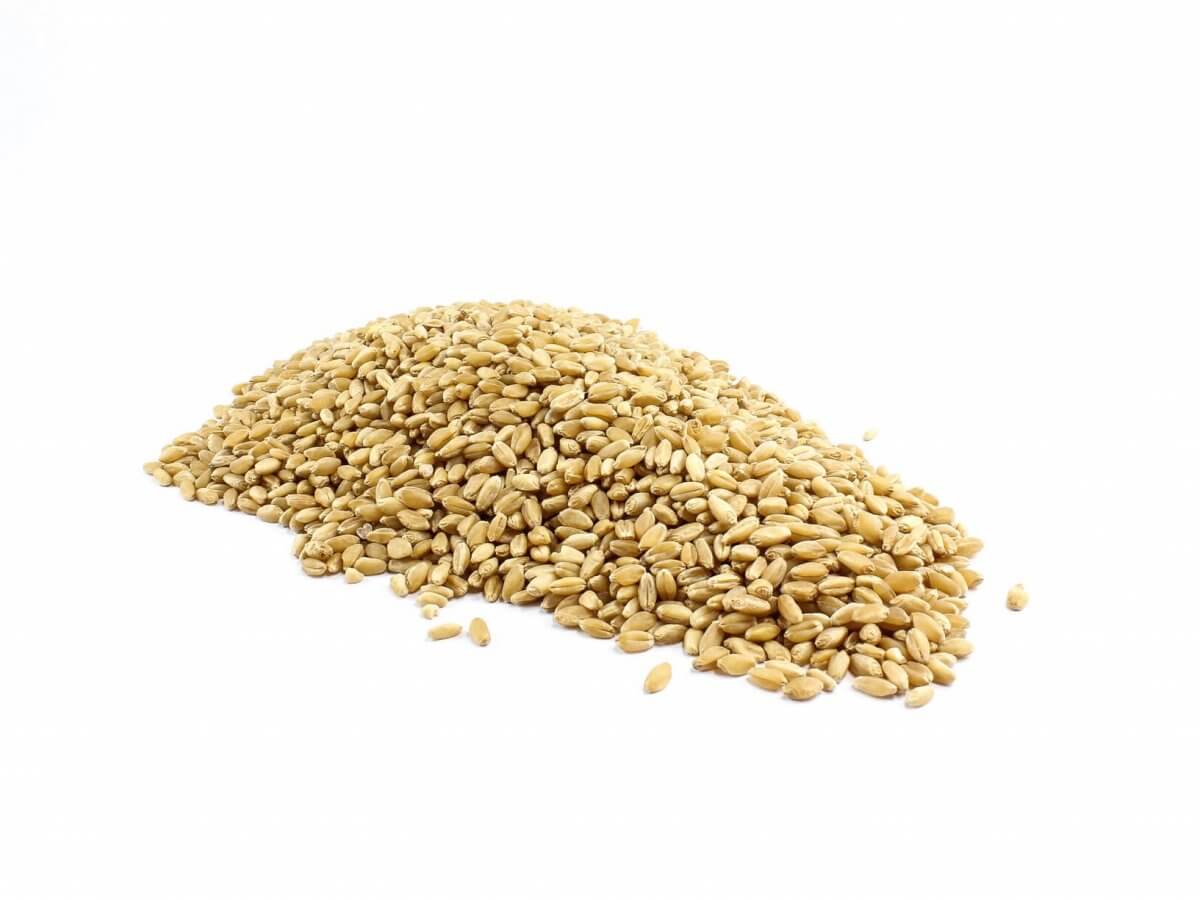 Organic Wheat Grain Australia The Source Bulk Foods