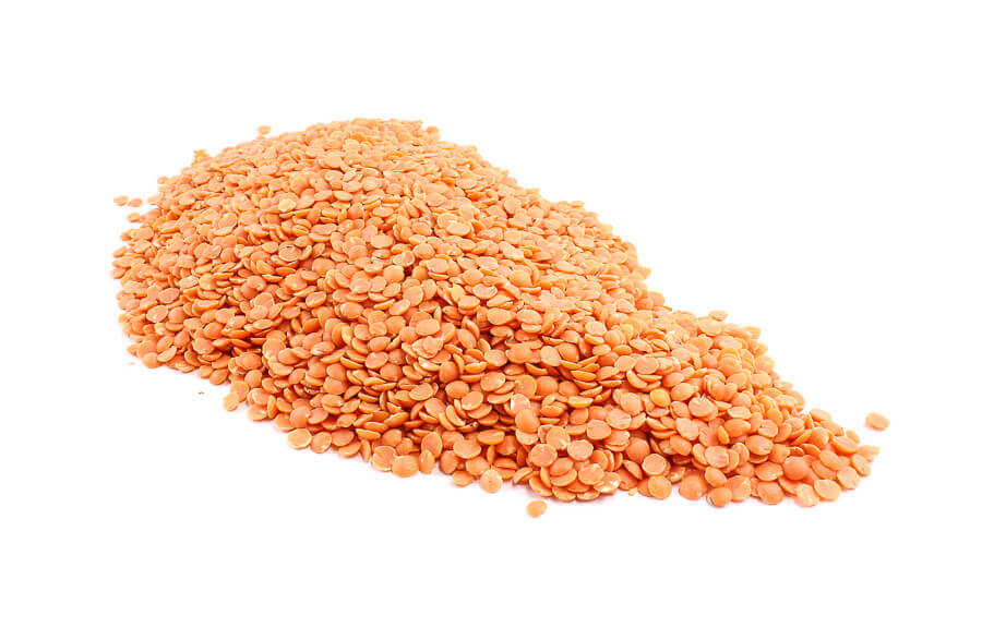 50309 Org Red Lentils Organic Red Split Lentils image