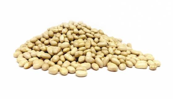 Navy Beans image