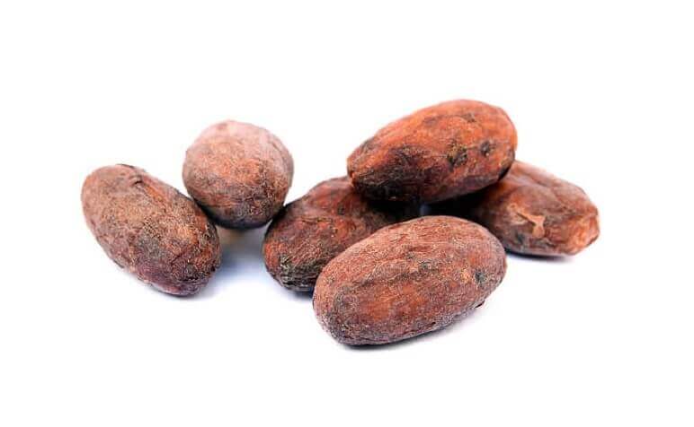 70104 cacao beans Organic Cacao Beans image