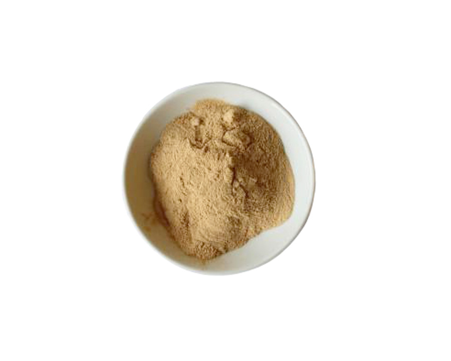 70161 Organic Red Miso Powder Organic Red Miso Powder image
