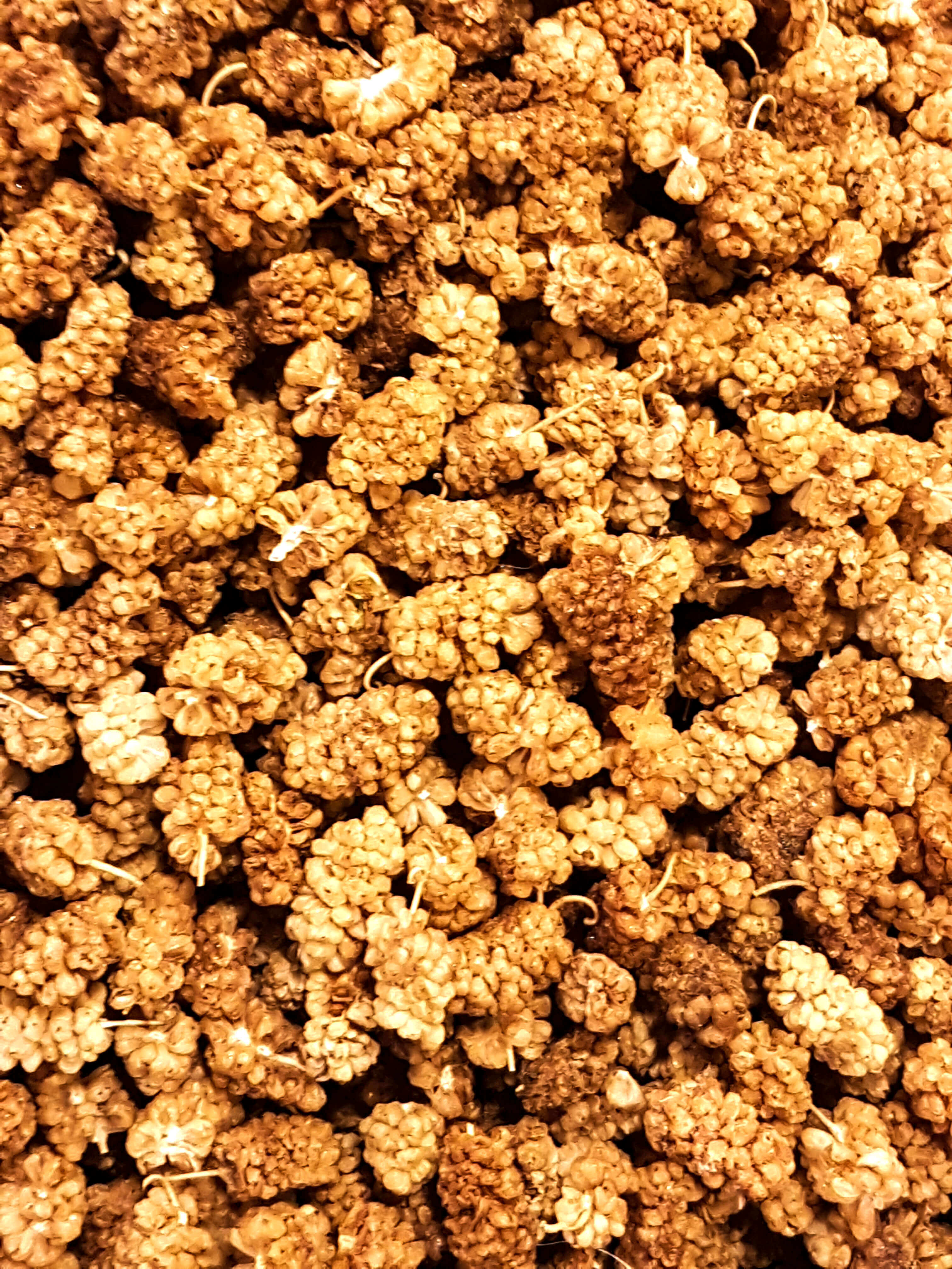 Are Dried White Mulberries Good For You