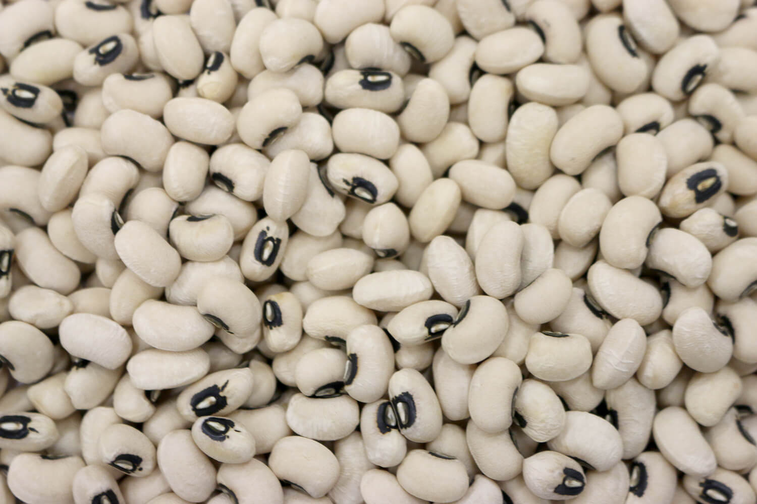 Black Eye Beans Australia The Source Bulk Foods