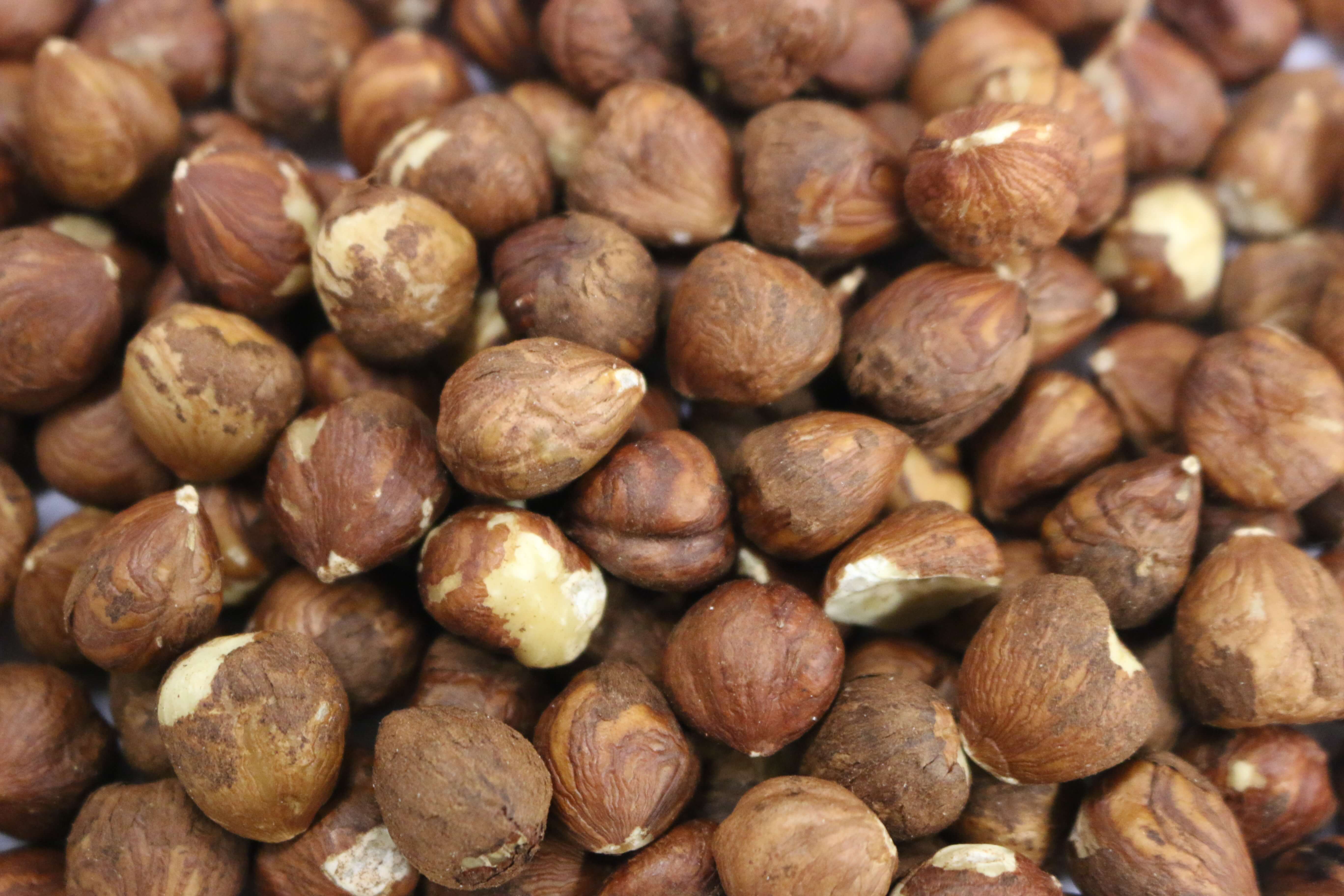 What Do Hazelnuts Look Like In The Shell