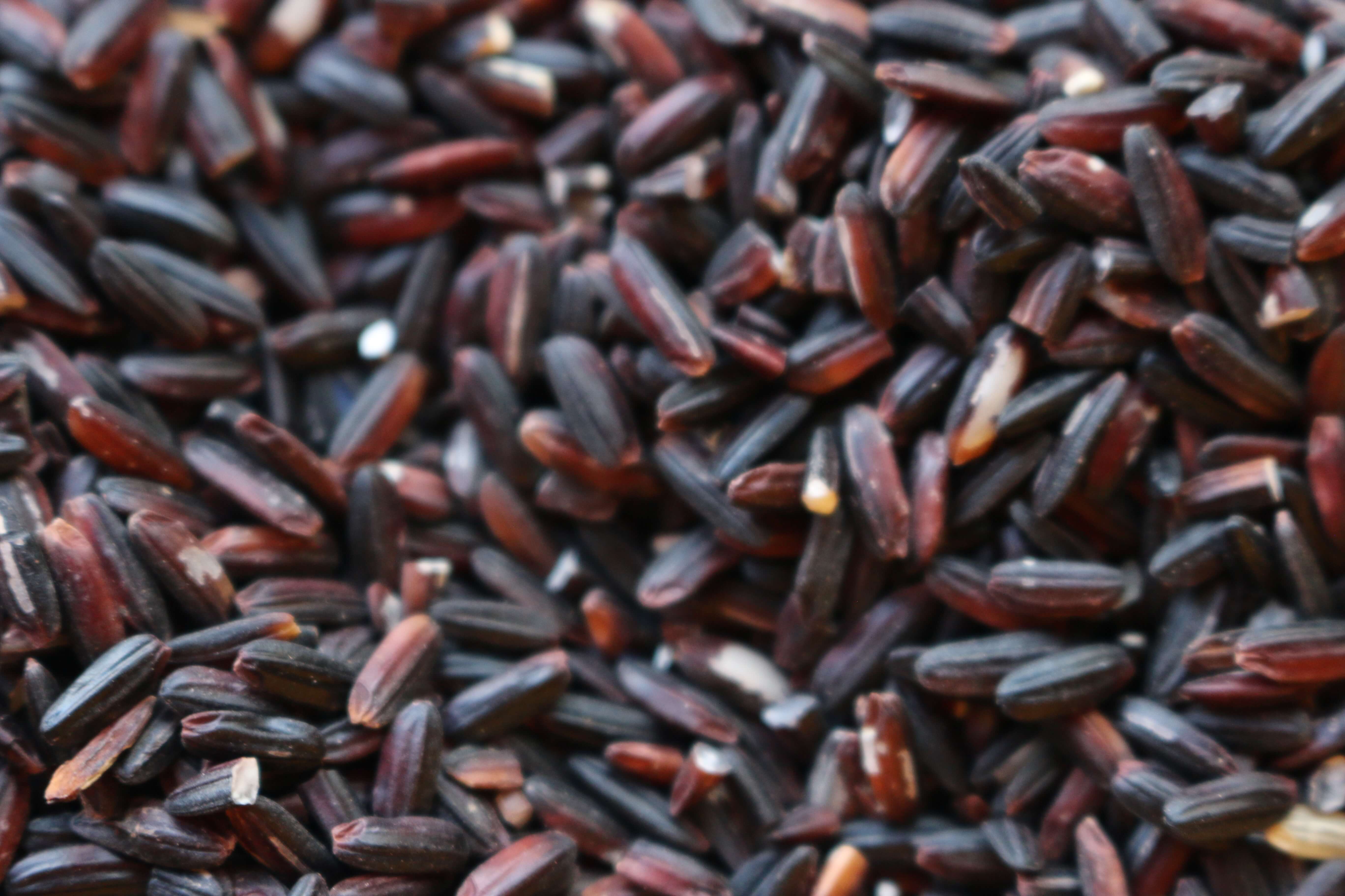 organic-black-rice-australia-the-source-bulk-foods