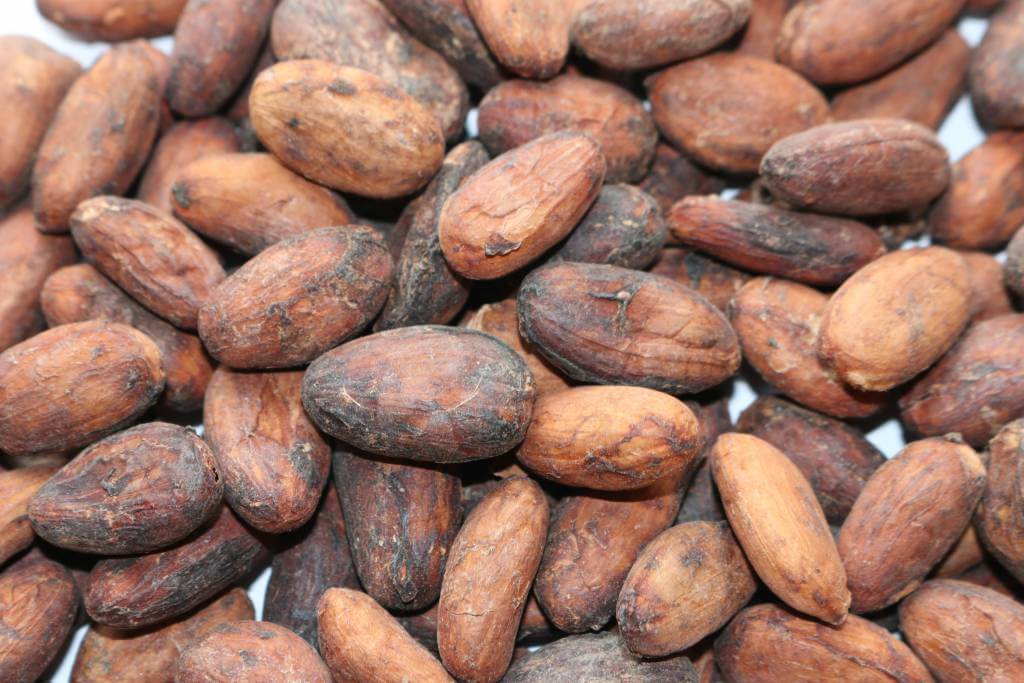 organic-cacao-beans-australia-the-source-bulk-foods