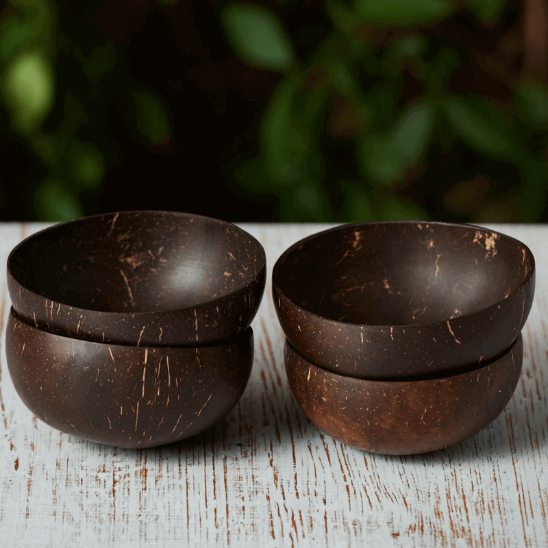 13_2ada410f-ab10-4a03-9307-47e2ffc8d42a_1024x1024.png Coconut Bowl Set of 4 image