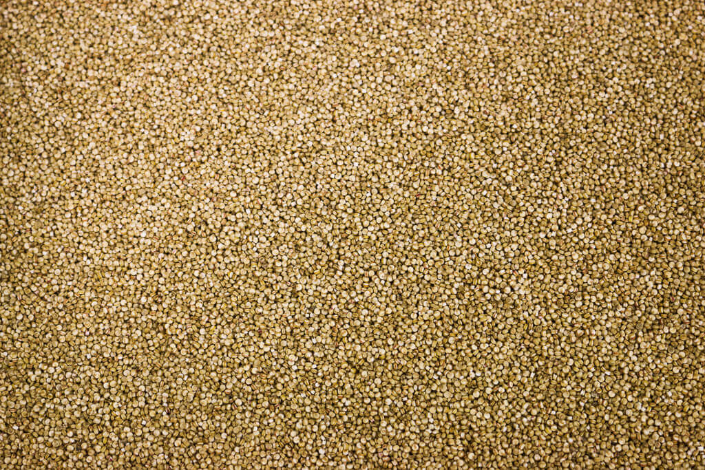 40121-AUS-ORG-QUINOA.jpg Organic Australian Quinoa image