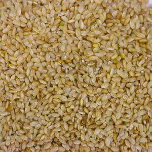 40305-BROWN-RICE-MED-300x300.jpg Bio Dynamic Rain Fed Medium Brown Rice image
