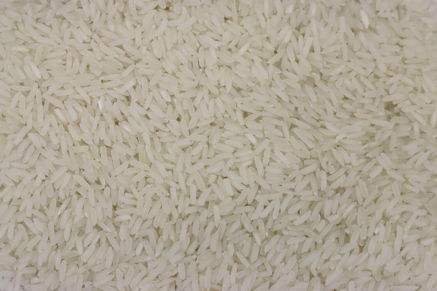 40306.jpg Organic Jasmine Rice image