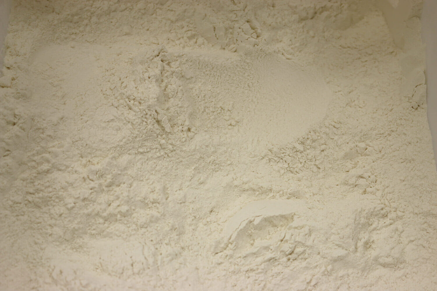 40416.jpg Arrowroot image