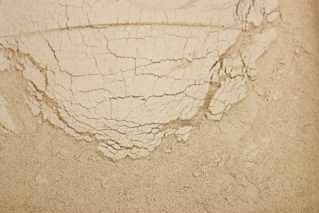 40419.jpg Organic Wholemeal Spelt Flour image