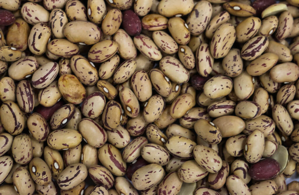 50302-BORLOTTI-BEANS.jpg Borlotti Beans image