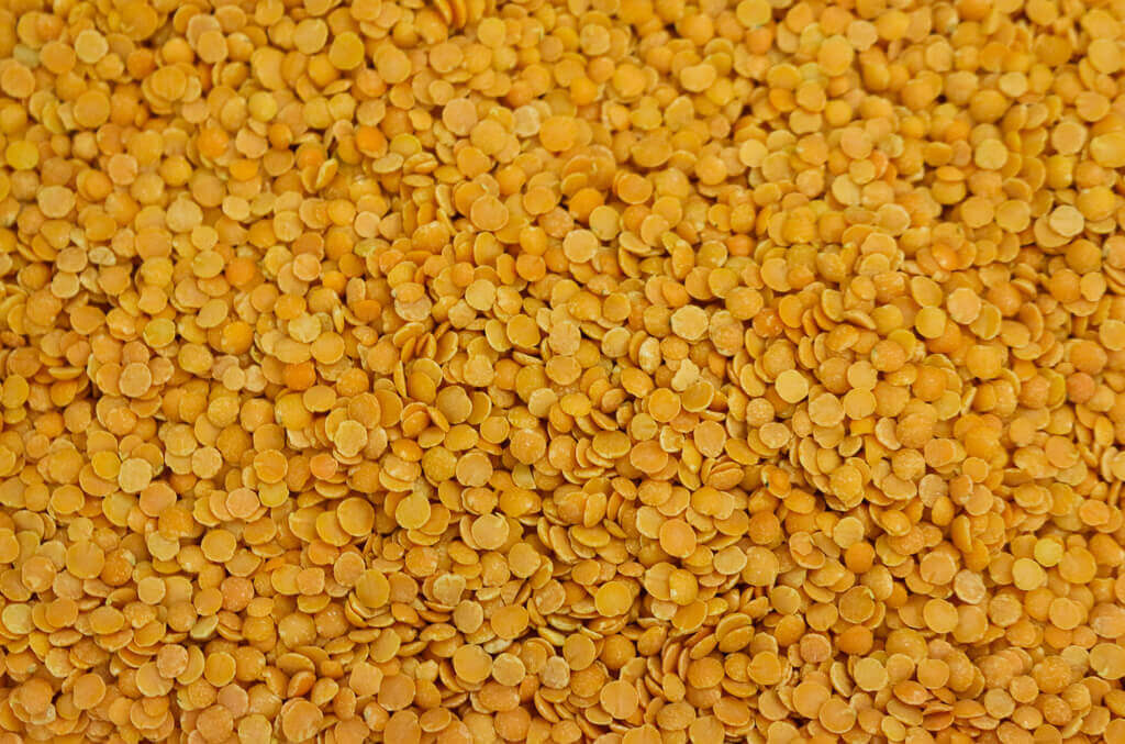 50309.jpg Organic Red Split Lentils image