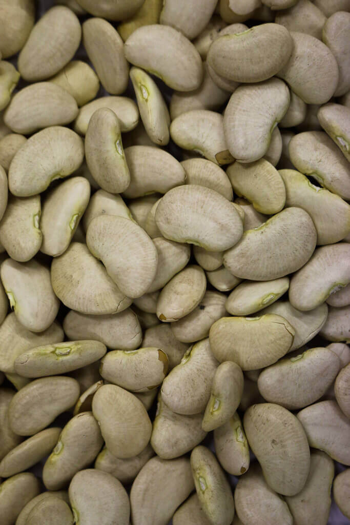 50312-lima-beanss.jpg Lima Beans image