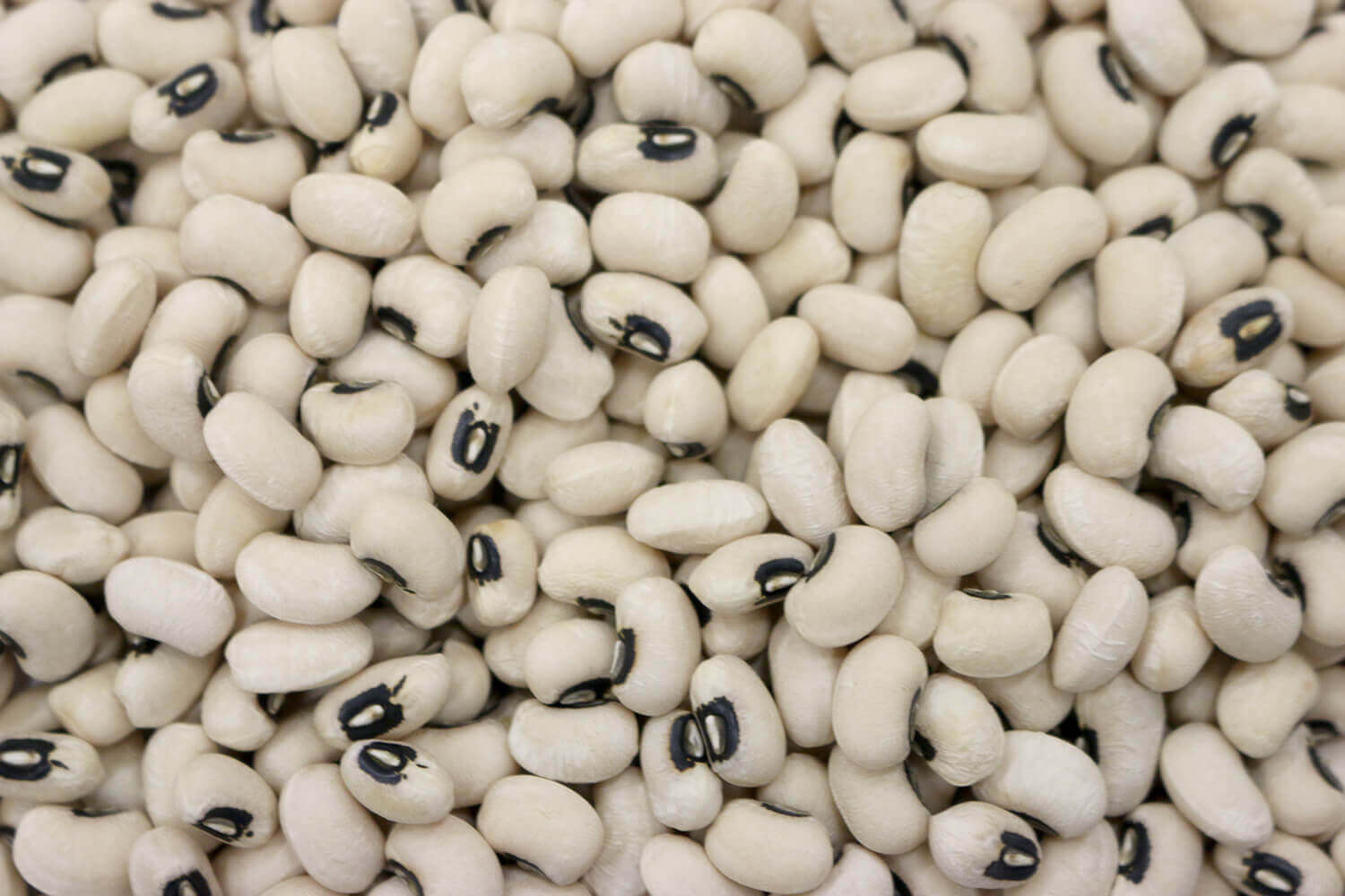 503255.jpg Black Eye Beans image