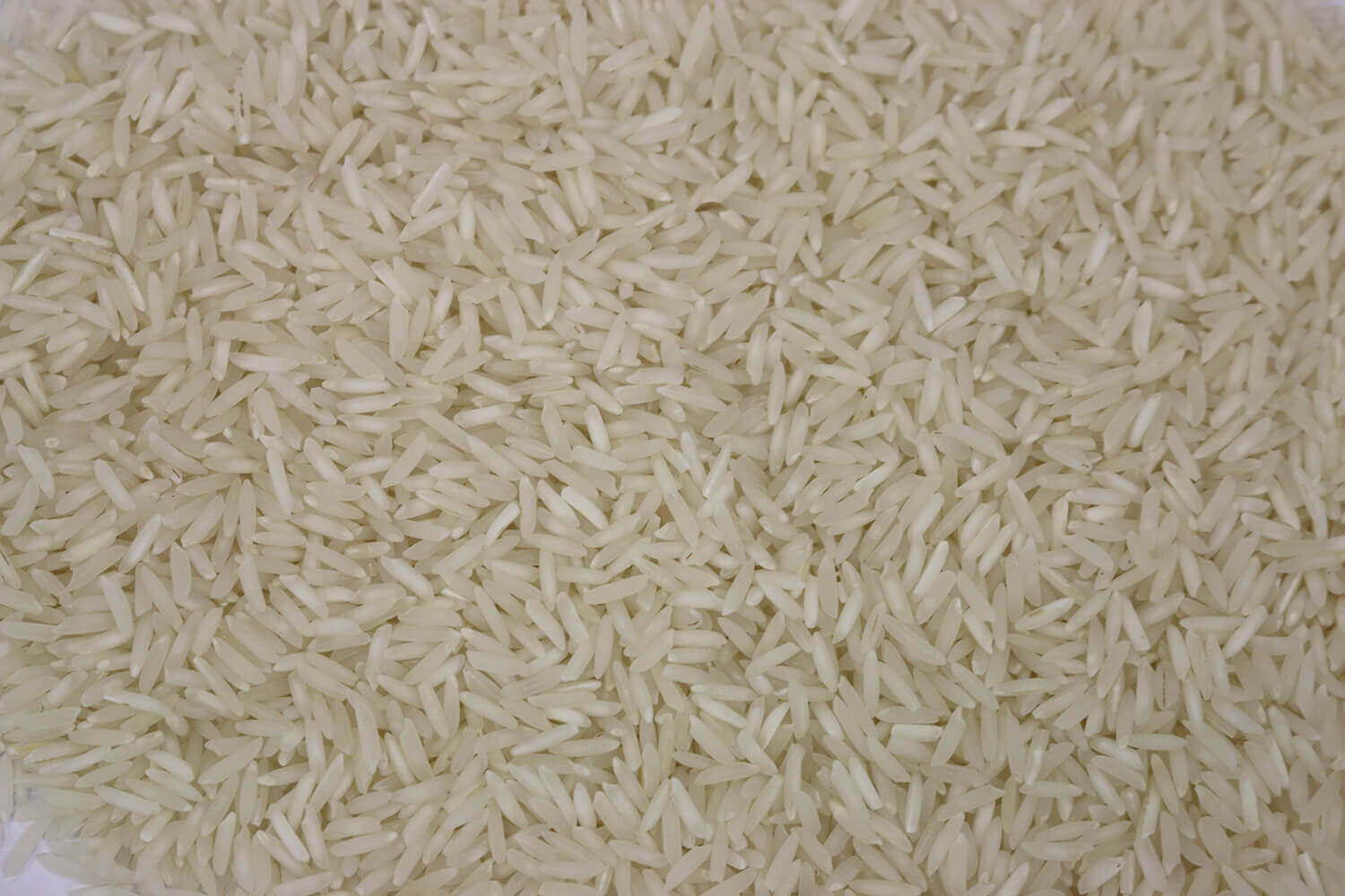 BASMATI-RICE-40301.jpg Organic Basmati Rice image