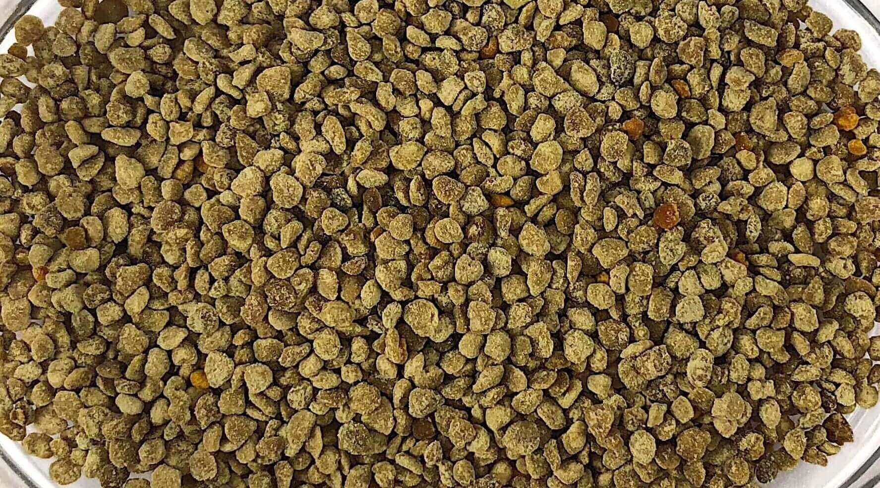 Bee-pollen-c-e1535514291406.jpg Australian Bee Pollen image