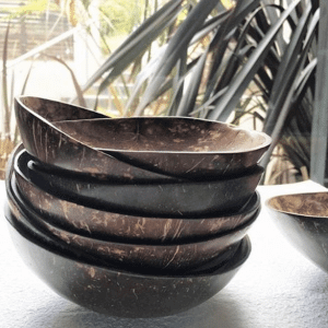 Coconut-shell-bowl-1-1.png Coconut Shell Bowl image