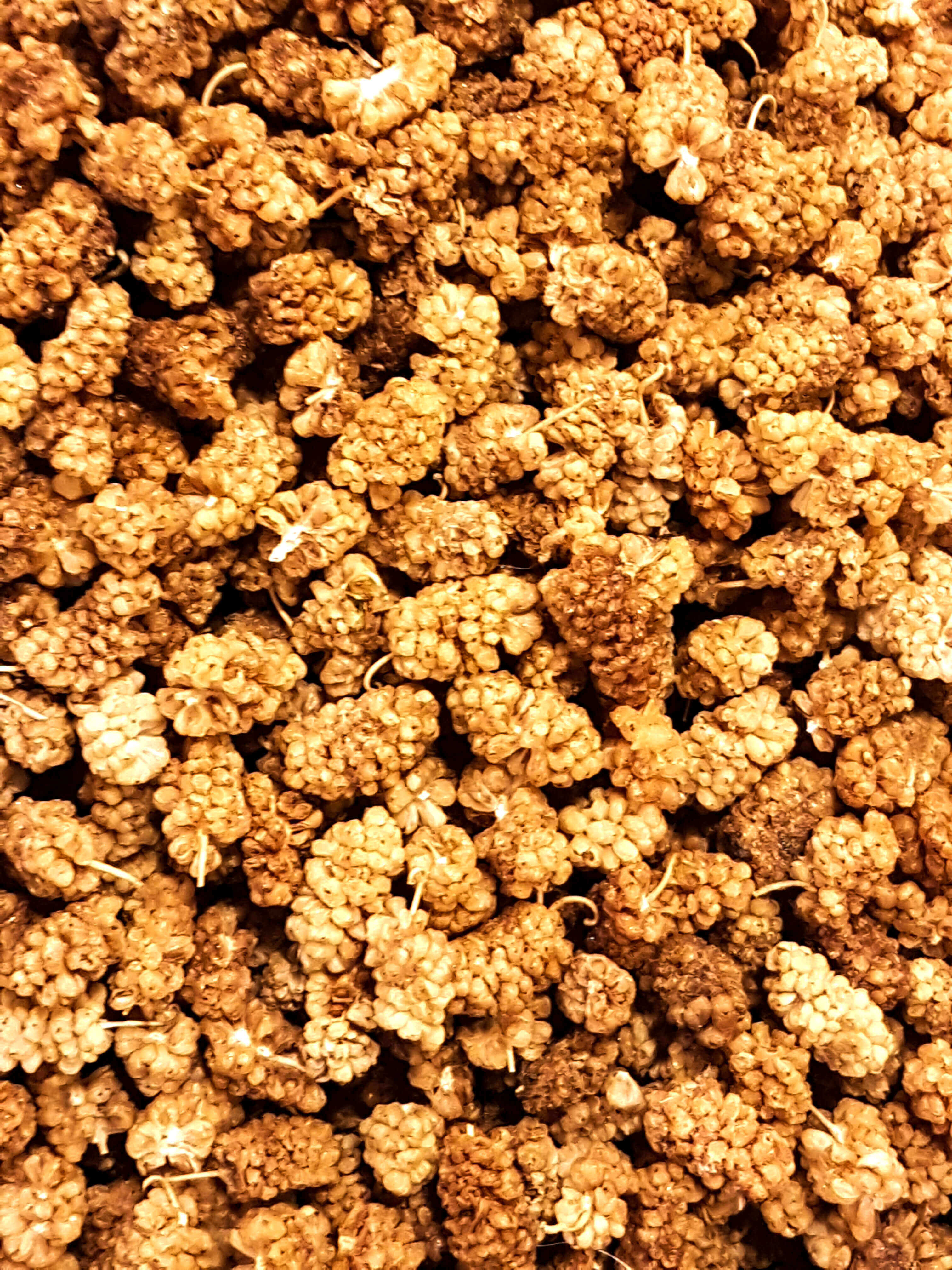 Dried-mulberry-833697322_3024x4032.jpeg Organic Dried Mulberries image