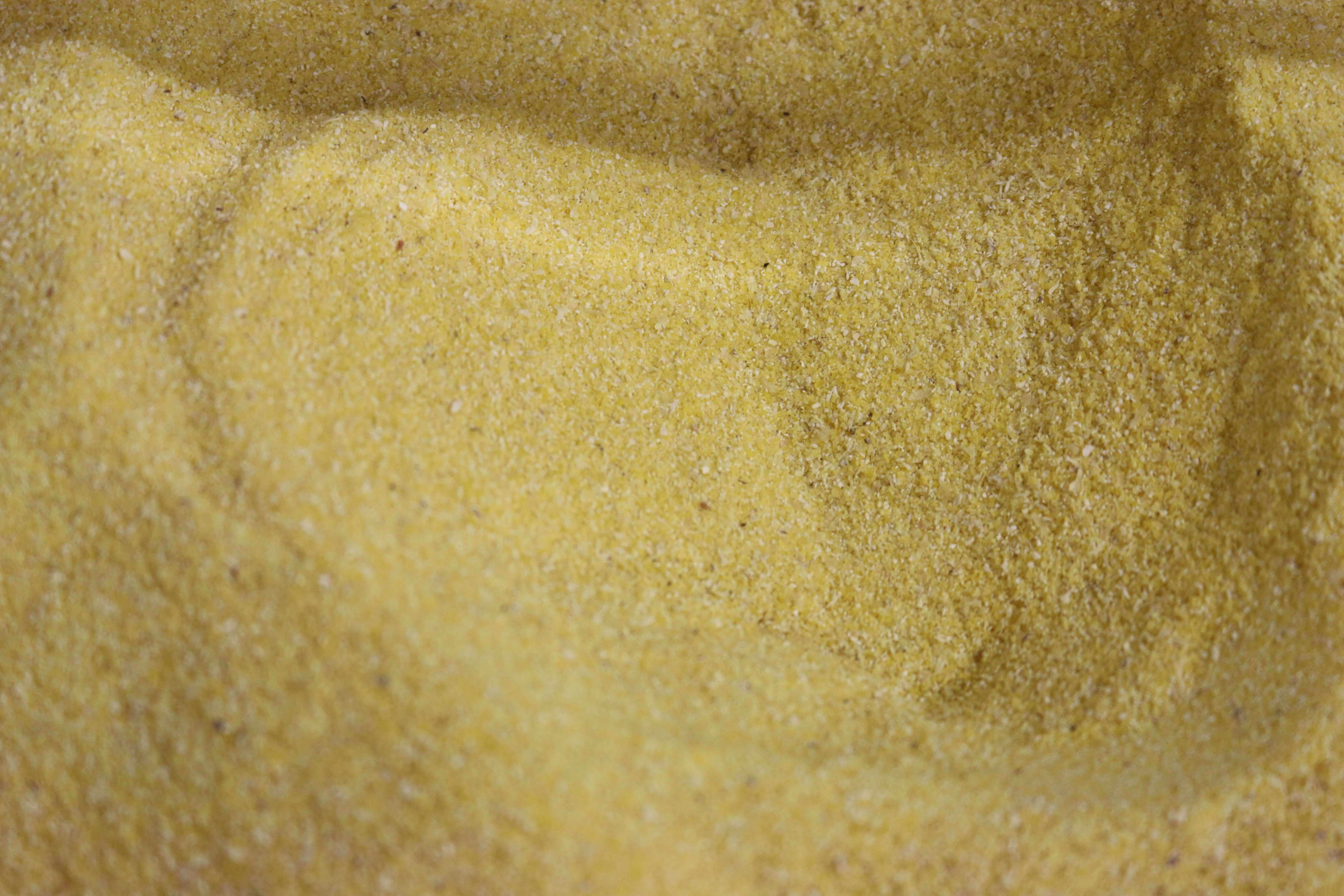 IMG_0254-1.jpg Organic Polenta image