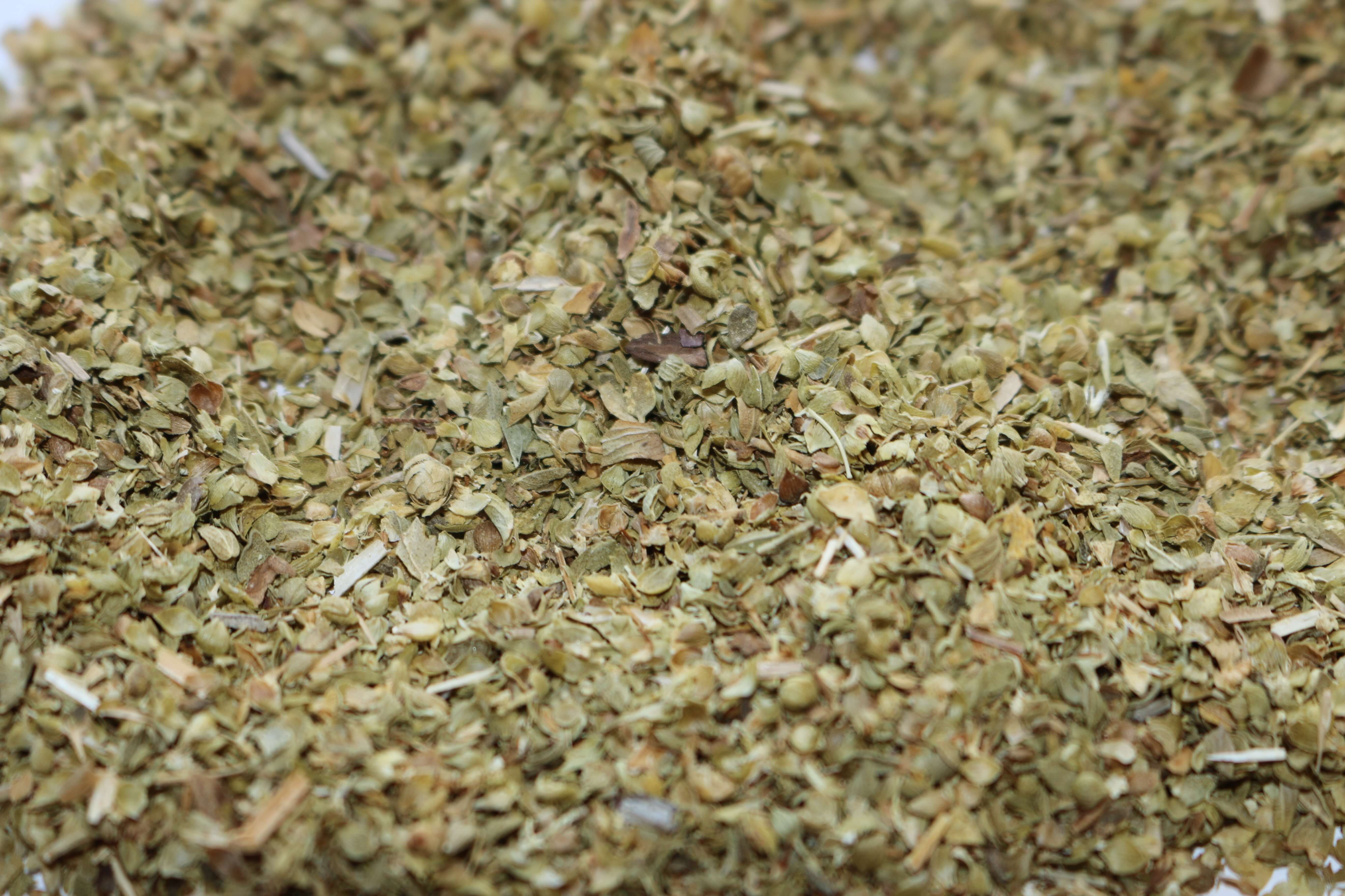 IMG_0433.jpg Marjoram image
