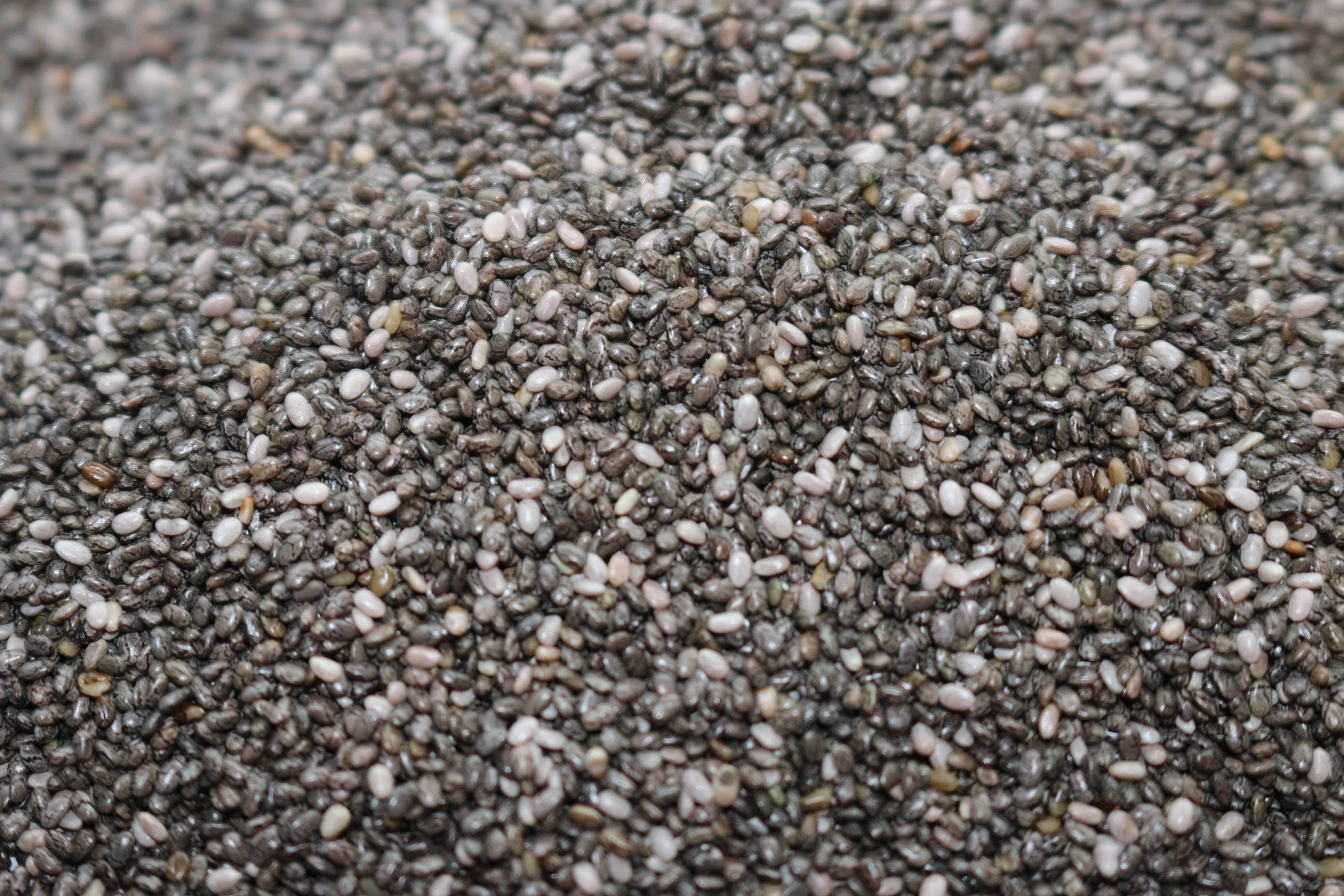 IMG_0445.jpg Organic Chia Seeds image