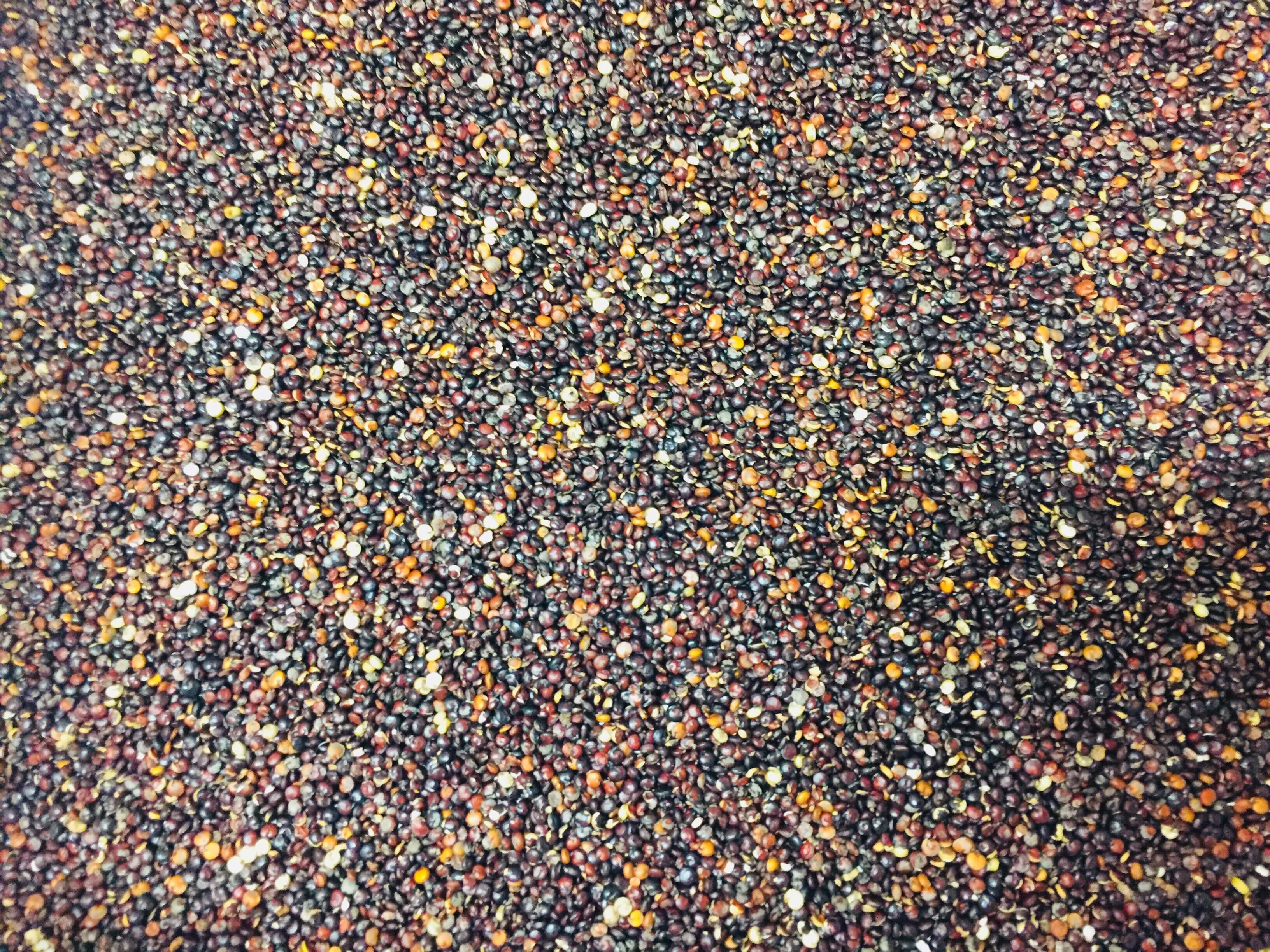 IMG_4037.jpeg Organic Black Quinoa image