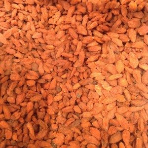 Organic-goji-berries-.jpg Organic Goji Berries image