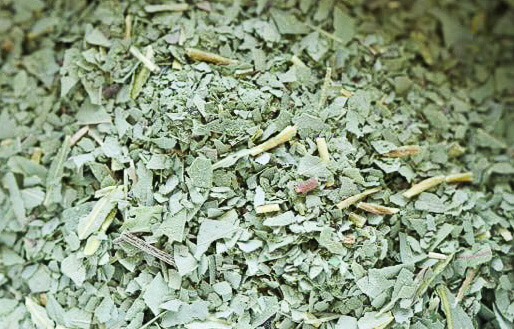 Strawberry-Gum.jpg Strawberry Gum image