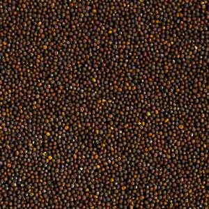 brown_mustard_big-300x300.jpg Brown Mustard Seeds image
