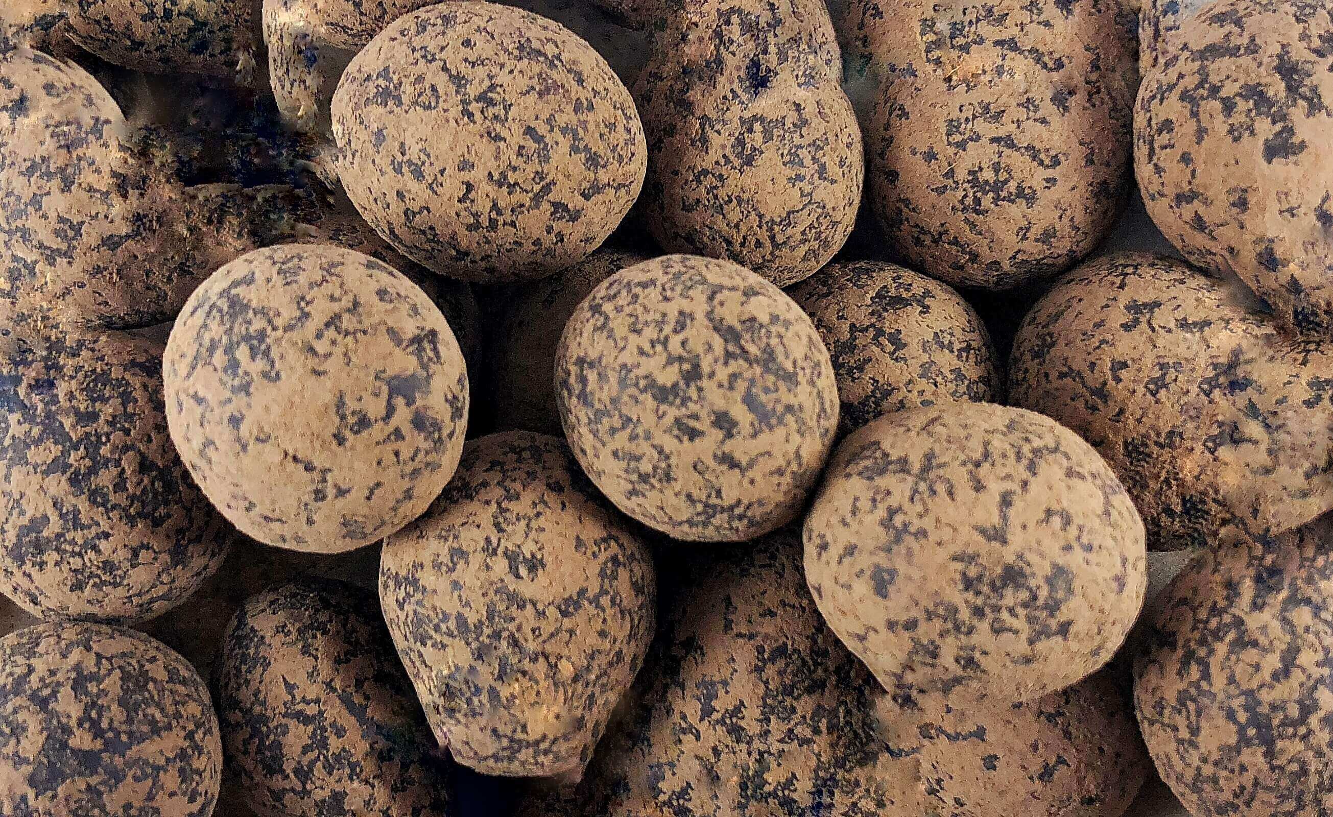 mocha-macadamias-c.jpg Mocha Dusted Chocolate Macadamias image