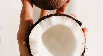 coconut 2